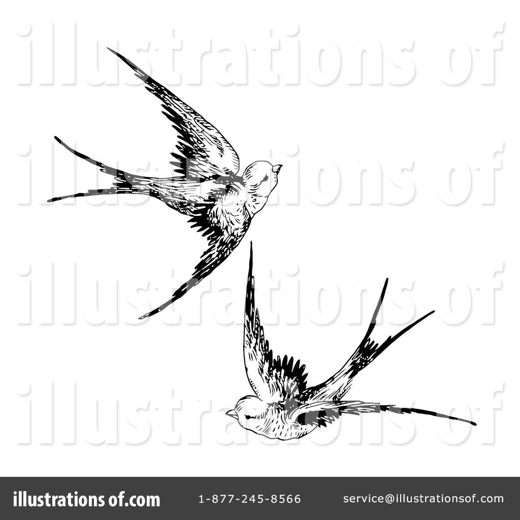1024x1024 Bird Clipart