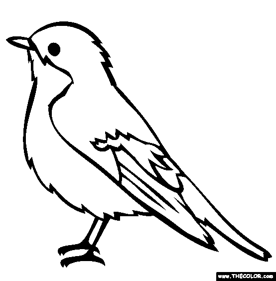 554x564 Bird Coloring Page. Others