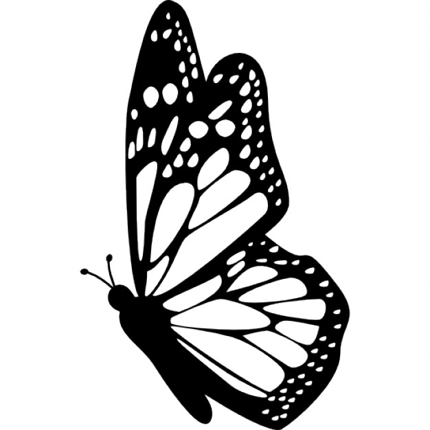 626x626 Butterfly Side View With Detailed Wings Icons Free Download