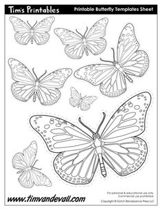 236x305 Art Projects For Kids Free Butterfly Drawing Download Butterfly