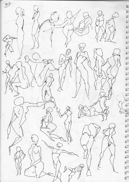 427x600 Spartan Camp