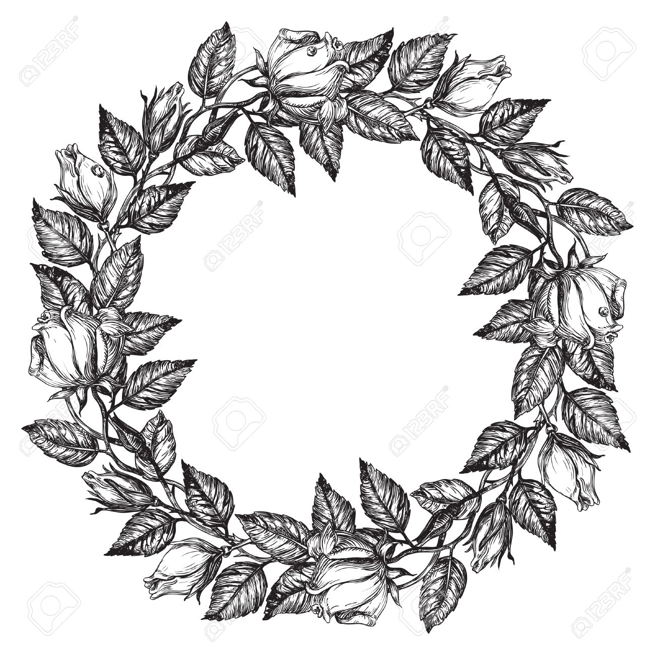 1300x1300 Roses. Rose Flower Wreath. Vector Floral Circle Border. Hand