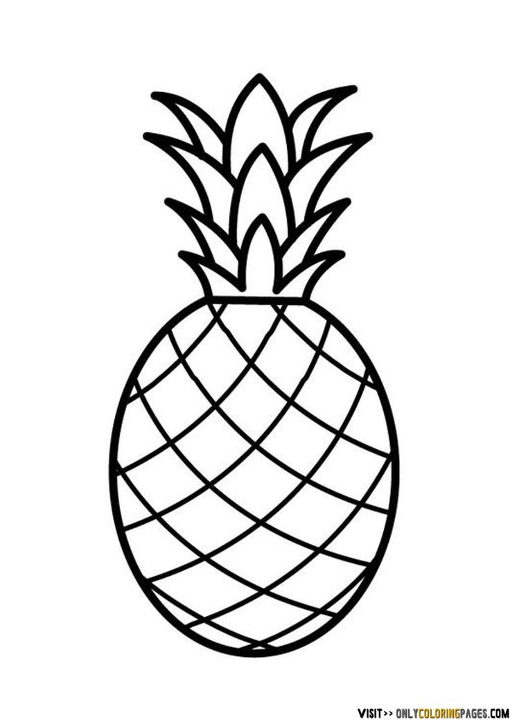 736x1039 Pineapple Clipart Drawing