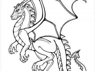 320x240 Drawing Template For Kids Dragon Drawing Template 13 Free Pdf