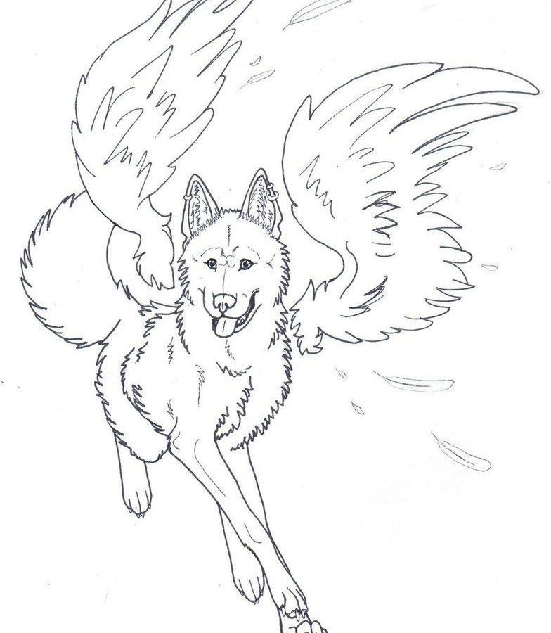 784x900 Pictures Angel Coloring Page For Your Kids Free Printable Adult