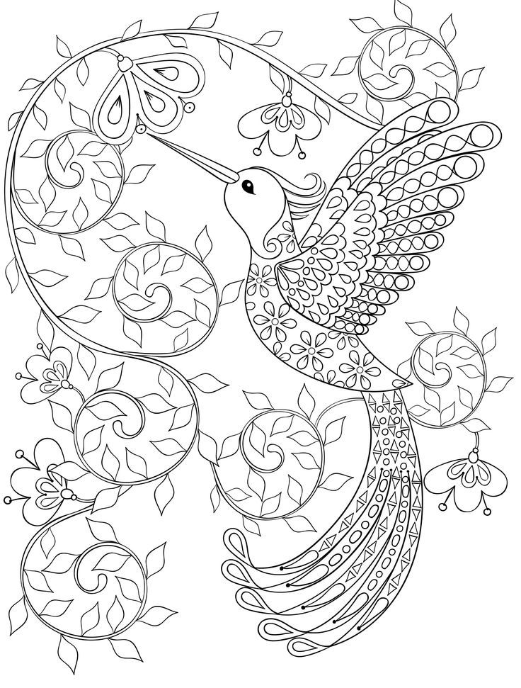 736x971 Free Coloring Book Pages For Adults Humorous Page Print Kids