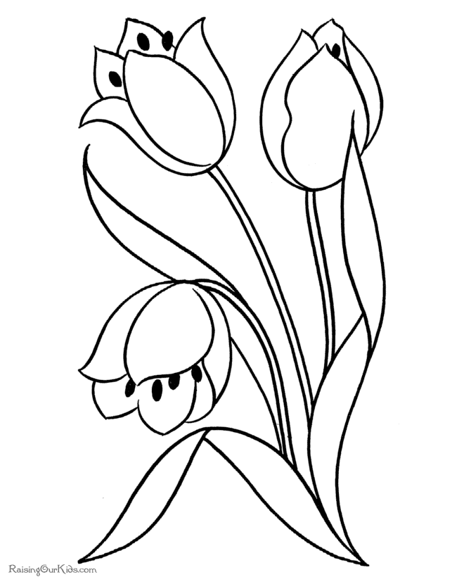 670x820 Flower Page Printable Coloring Sheets Free Printable Flowers