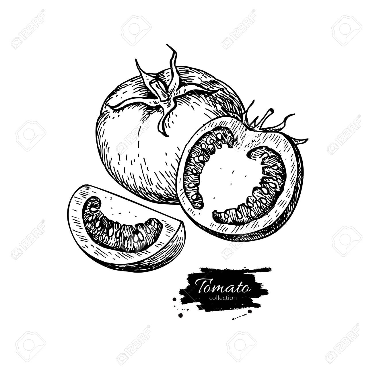 1300x1300 Tomato Vector Drawing. Isolated Tomato And Sliced Piece. Vegetable