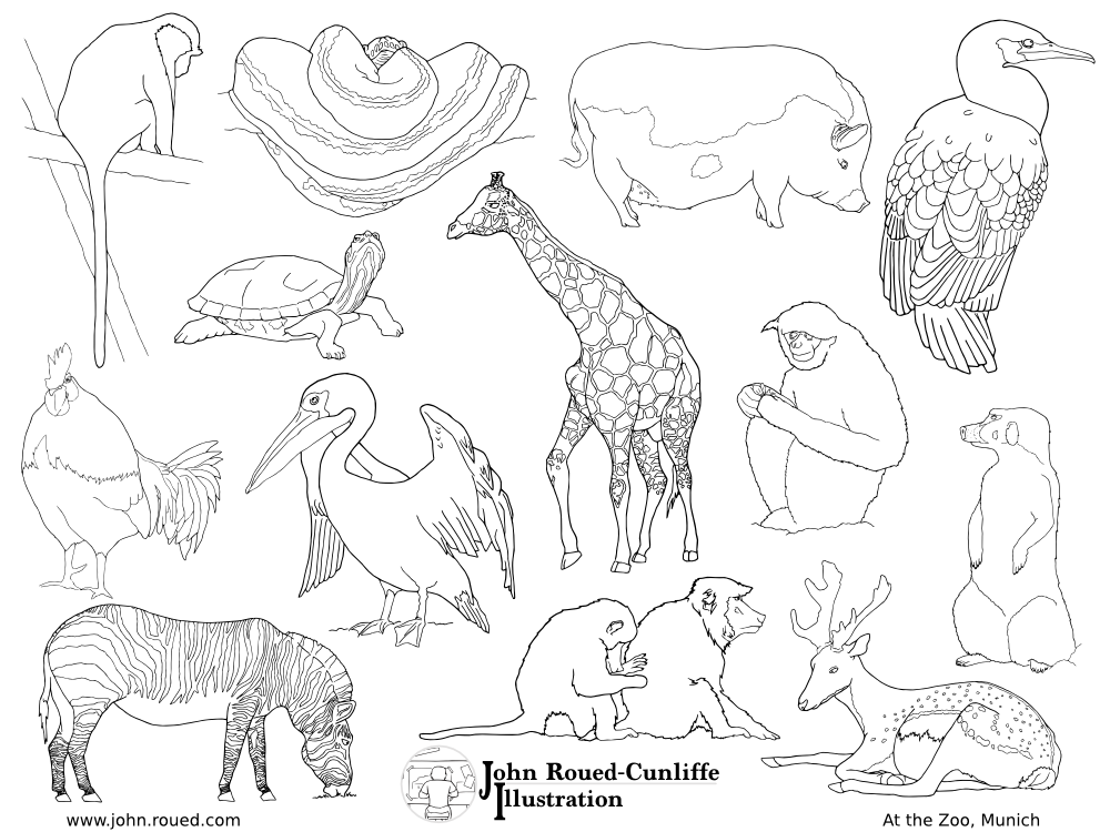1000x750 Printable Animals From Munich Zoo Free Giraffe Colouring Page