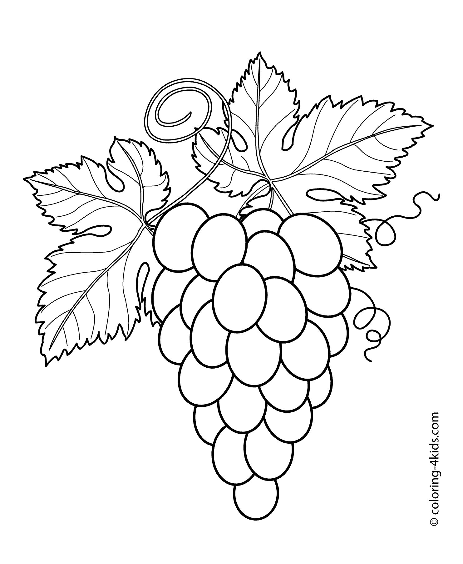1483x1804 Grapes With Leaves Fruits And Berries Coloring Pages For Kids