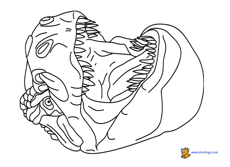 792x576 Free Dinosaur Coloring Pages Pictures Printouts Free Coloring