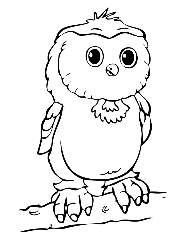650x842 Owl Template