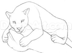 236x174 Cool Pictures To Draw How To Draw A Jaguar Step By Rainforest