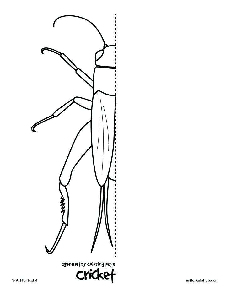 736x952 Drawing Printable Worksheets Media