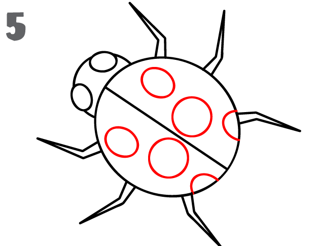 623x485 How To Draw A Ladybug