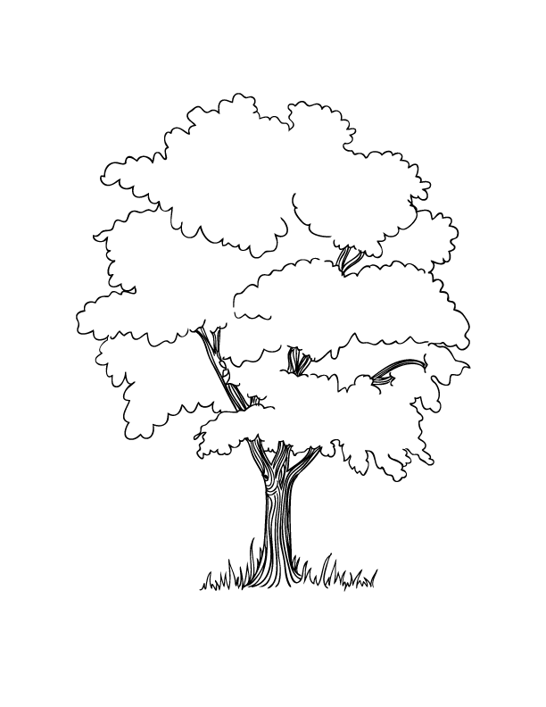 612x792 Coloring Pages Free Printable, Holidays And Blank Family Tree