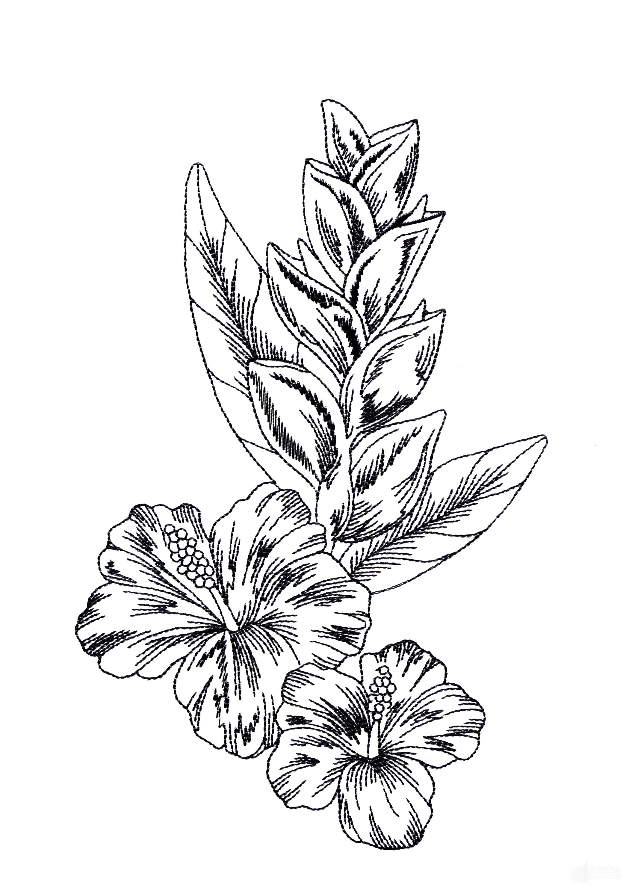 2080x2954 Exotic Flower Drawings