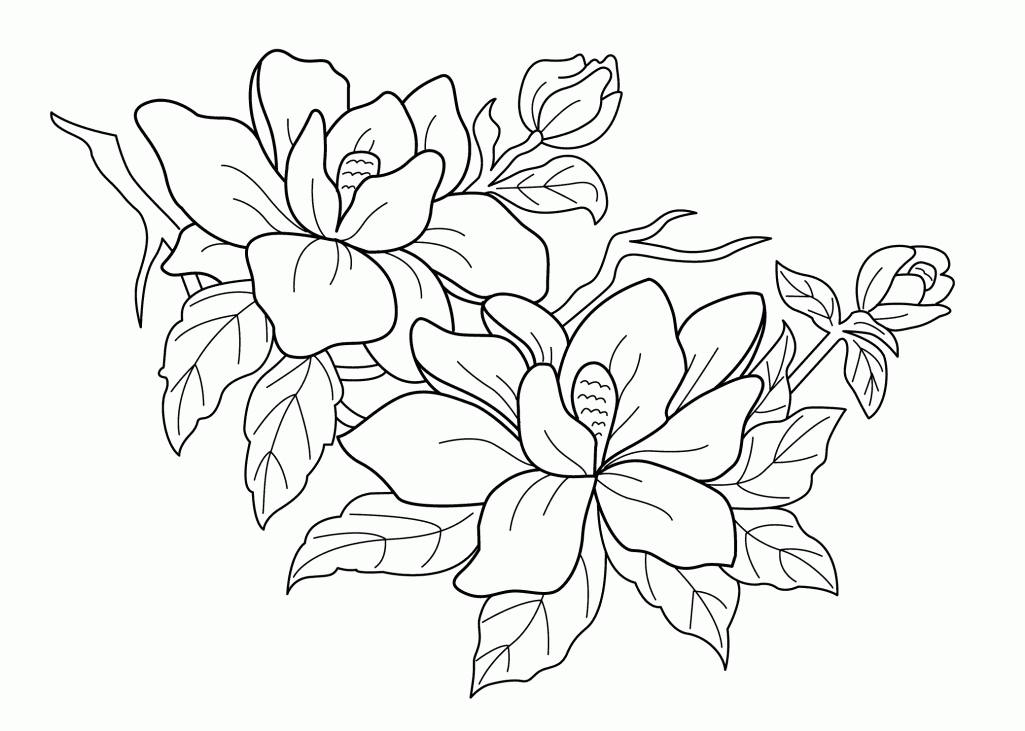 1025x731 Gallery Free Printable Flower Drawings,