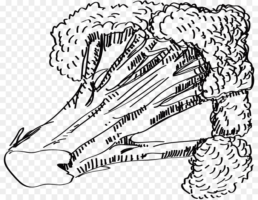 900x700 Sushi Cauliflower Pizza Drawing Line Art