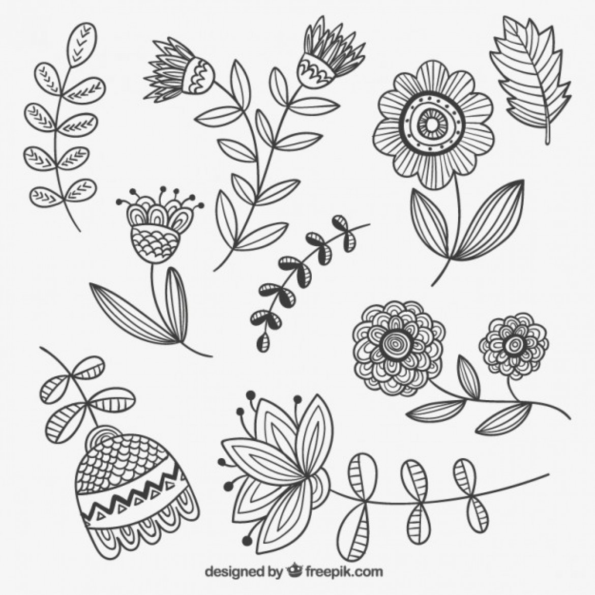 1170x1170 Free Vector Hand Drawn Flowers