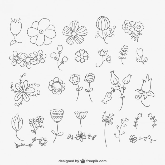 626x626 Hand Drawn Flowers Pack Vector Free Download