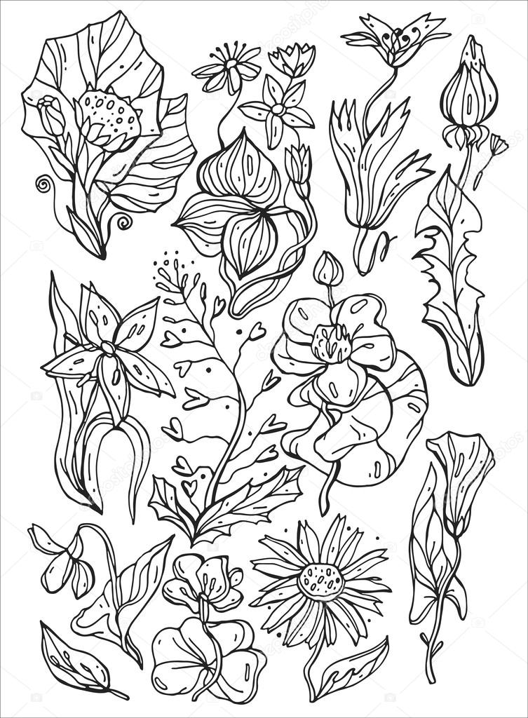 753x1024 Vector Collection Of Hand Drawn Flowers Stock Vector Helter