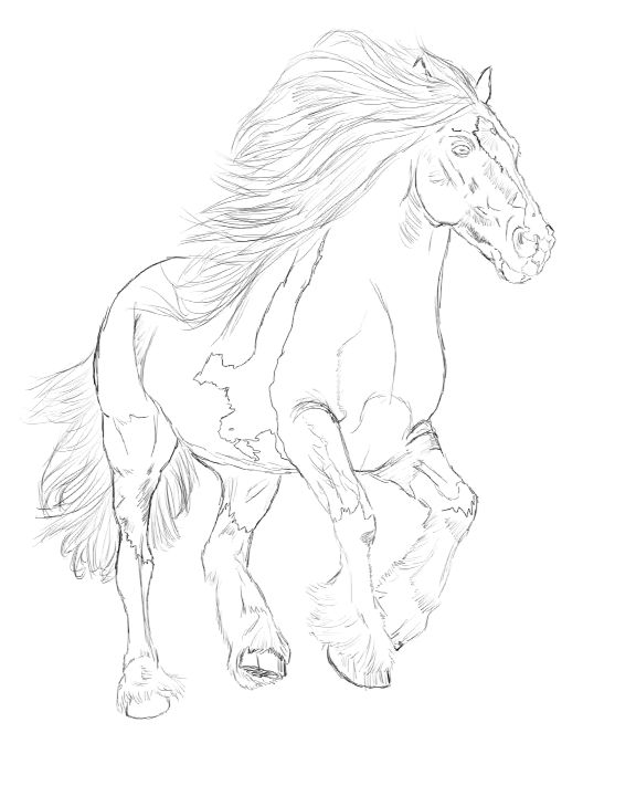 Free Horse Drawing