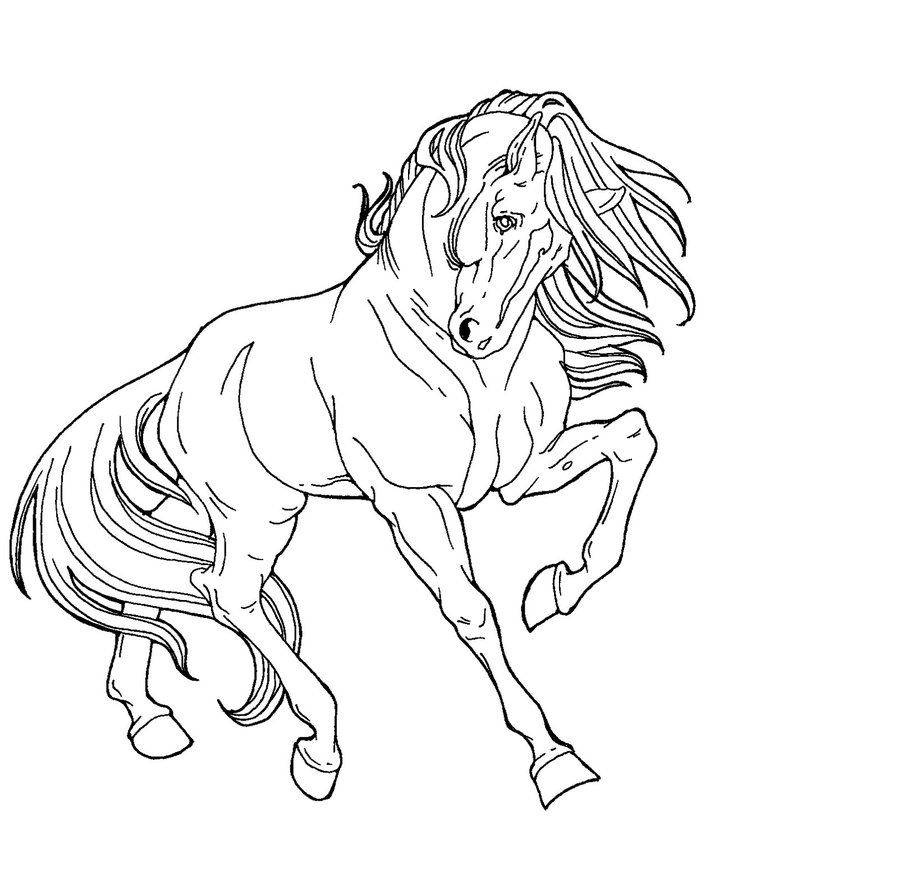 898x889 Free Line Art Proud Horse By Applehunter On Coloring