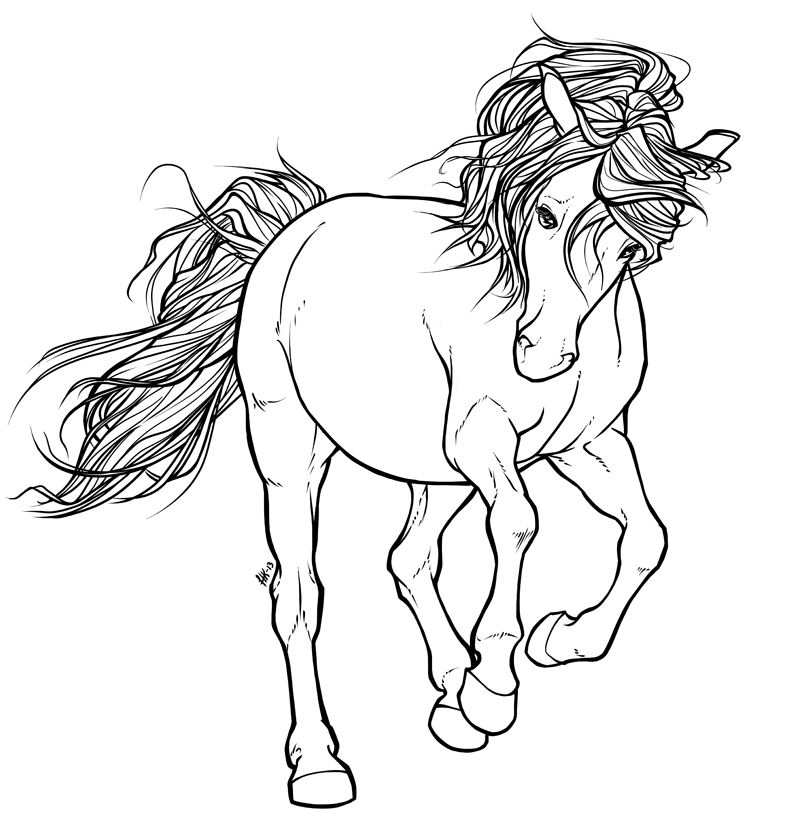 808x823 Horse Free Lineart By Henu