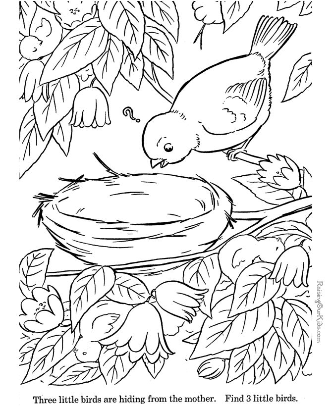 670x820 28 Best Free Colouring Pages Images On Coloring Books