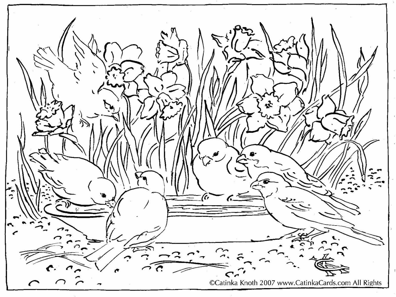 1600x1201 Drawn Nature Coloring Sheet