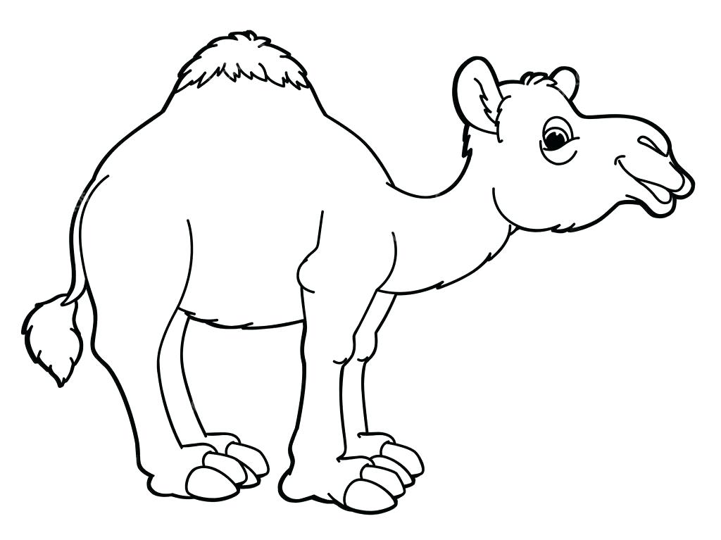 1024x767 Classy Camel Coloring Page Online Pages Drawing For Kids Reading