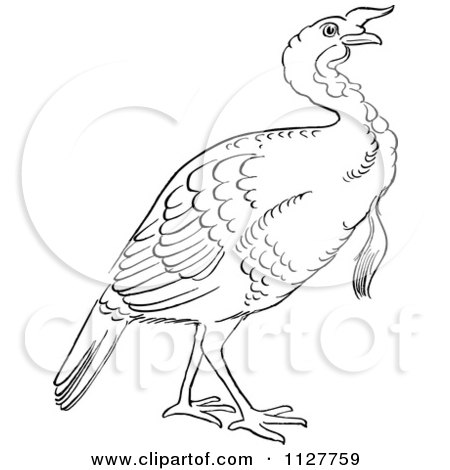 450x470 Royalty Free (Rf) Clipart Of Coloring Pages, Illustrations, Vector