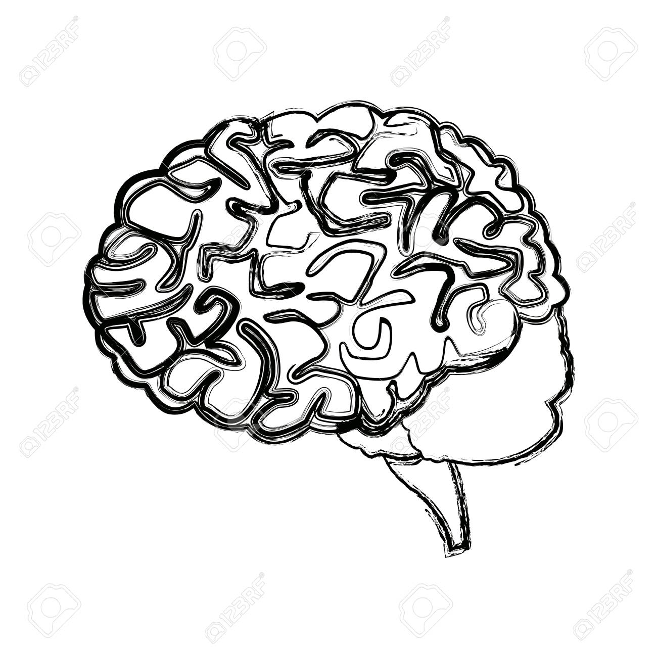 1300x1300 Human Brain For Medical Healthy Memory Anatomy Design Vector