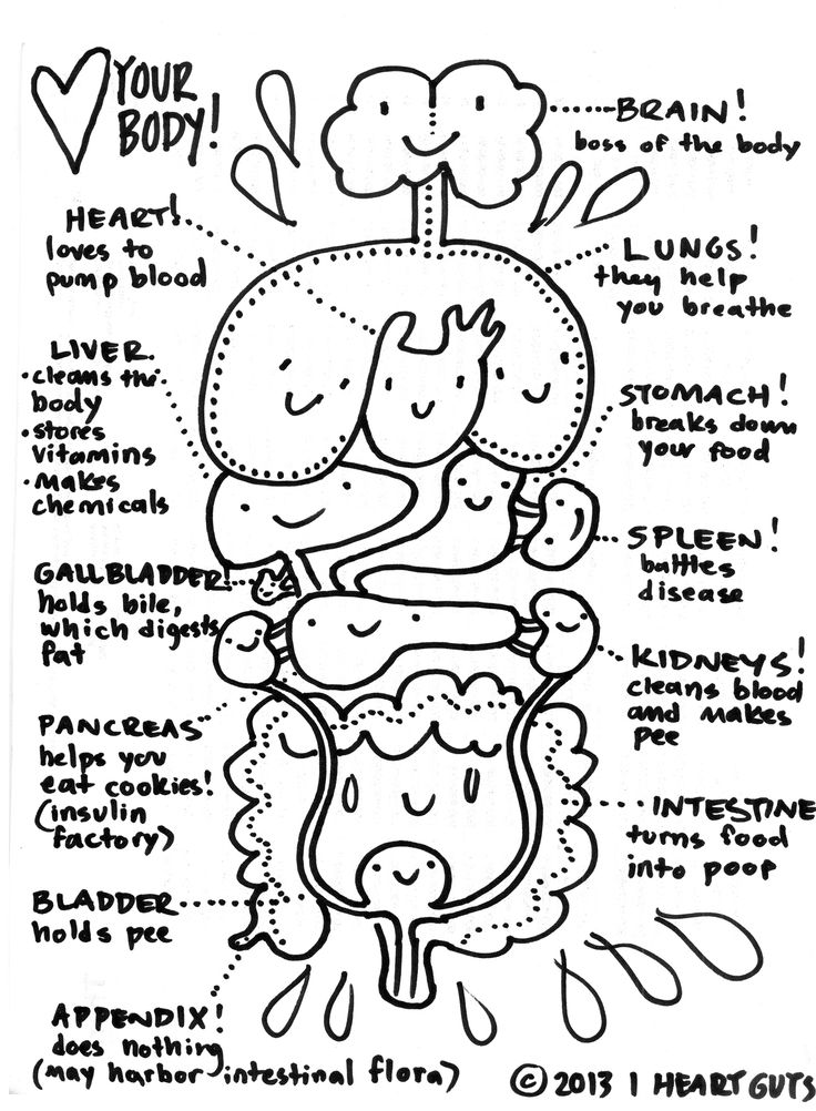 736x1002 Anatomy Coloring Page Anatomy, School And Human Body