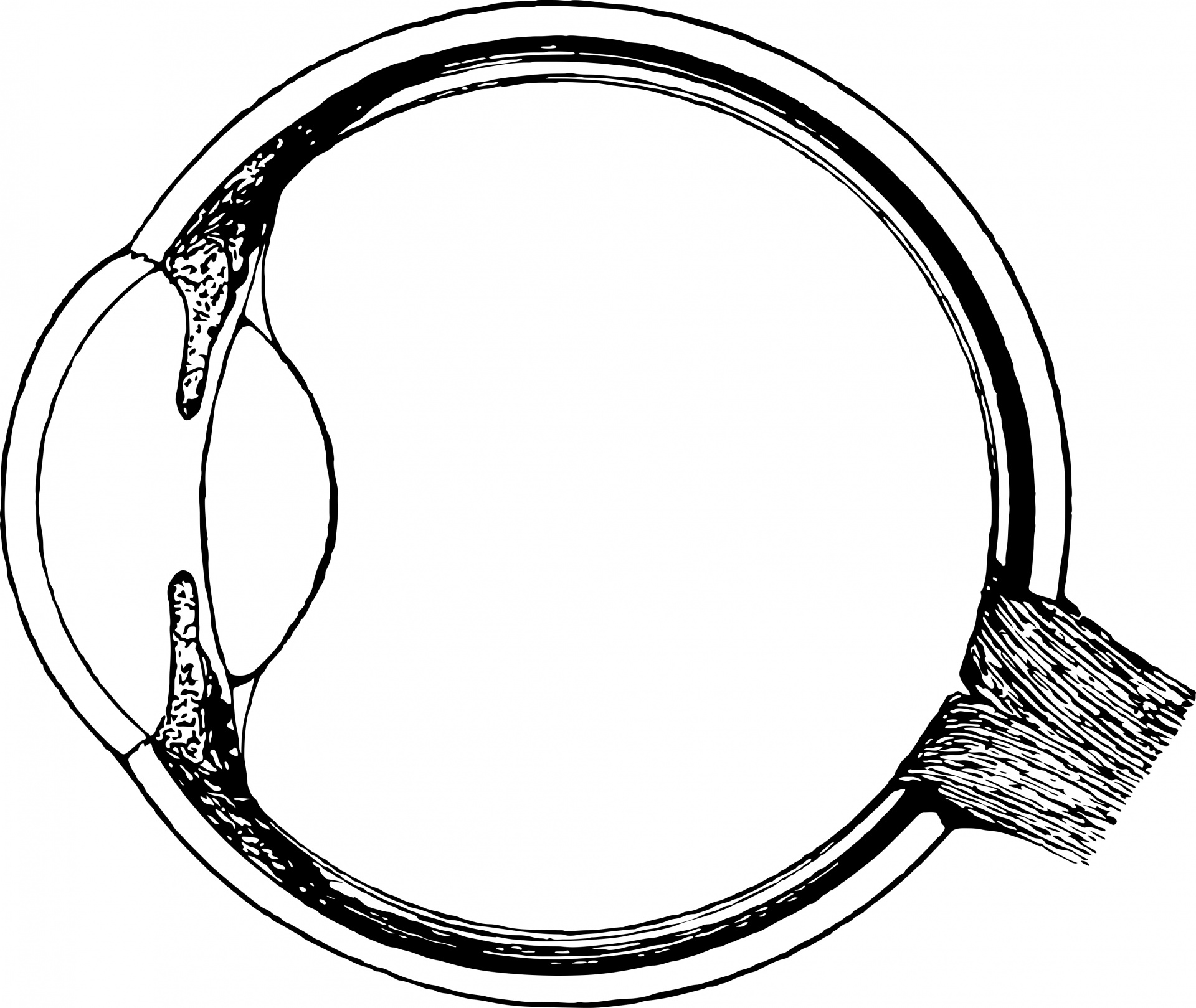 1920x1619 Medical Eye Free Stock Photo