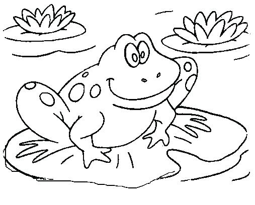 507x408 Free Frog Coloring Pages Cute Frog Coloring Books For Drawing Kids