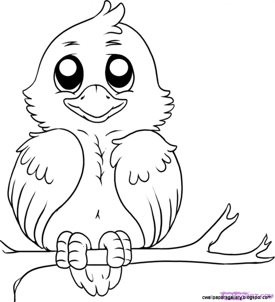 918x1007 Simple Bird Drawing For Kids Wallpapers Gallery