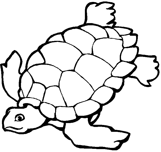660x625 Ocean Coloring Pages Ocean Coloring Pages For Kids. Free Online
