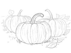 236x177 Free Printables ~ Chalkboard Autumn Pumpkin Pumpkin Printable