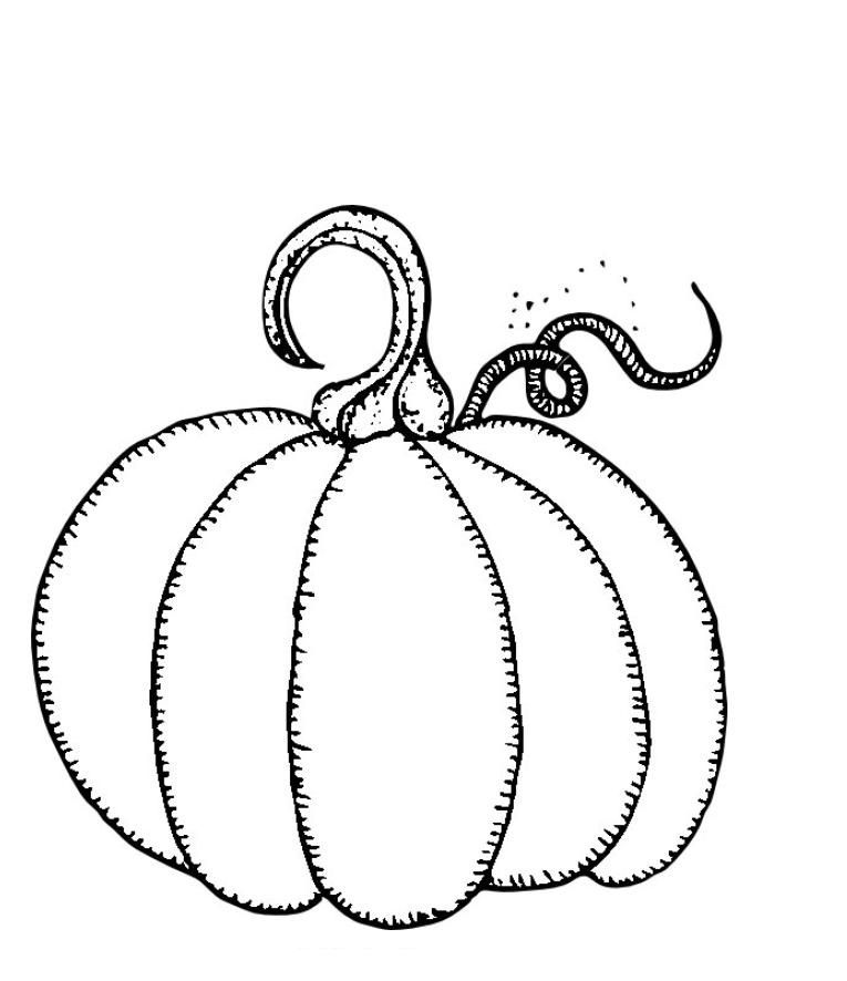 765x886 Free Pumpkin Coloring Pages Printable Embroidery Motifs Only