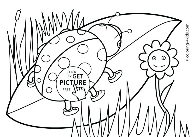 805x574 Kids Free Coloring Pages Coloring Pages Spring Coloring