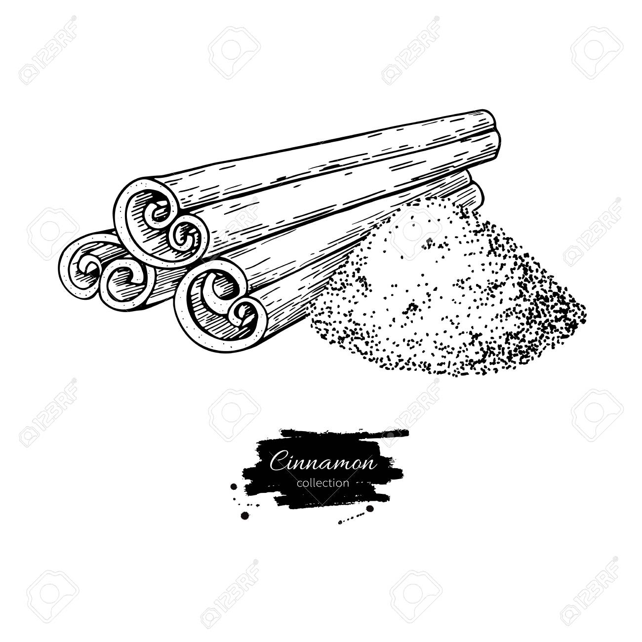 1300x1300 Cinnamon Stick And Powder Vector Drawing. Hand Drawn Sketch