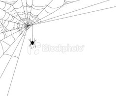 236x196 Isolated Spider Web In A Fun Way. Spider Webs, Vector Art