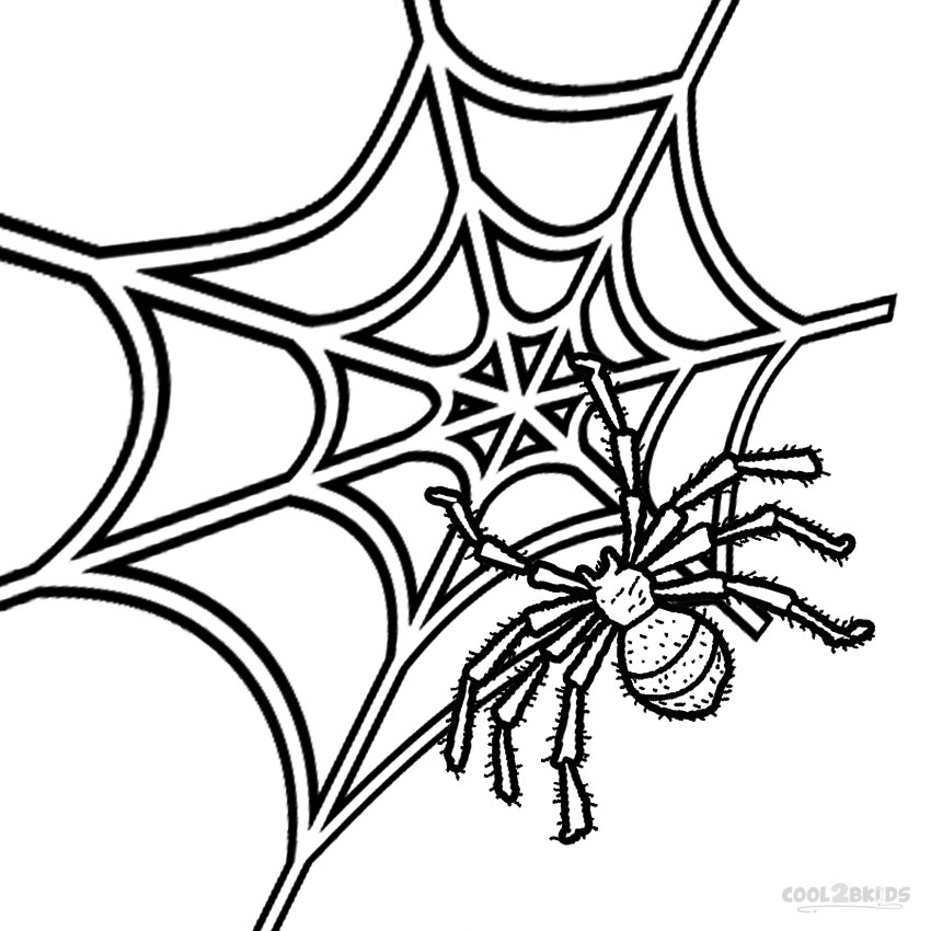 850x850 Printable Spider Web Coloring Pages For Kids Cool2bkids