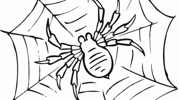 570x320 Spider Drawing For Kids How To Draw Spider For Kids Step By Step