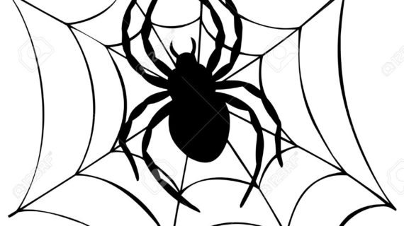 570x320 Spider Web Cartoon Drawing Cartoon Image Of Spider Web Stock Photo