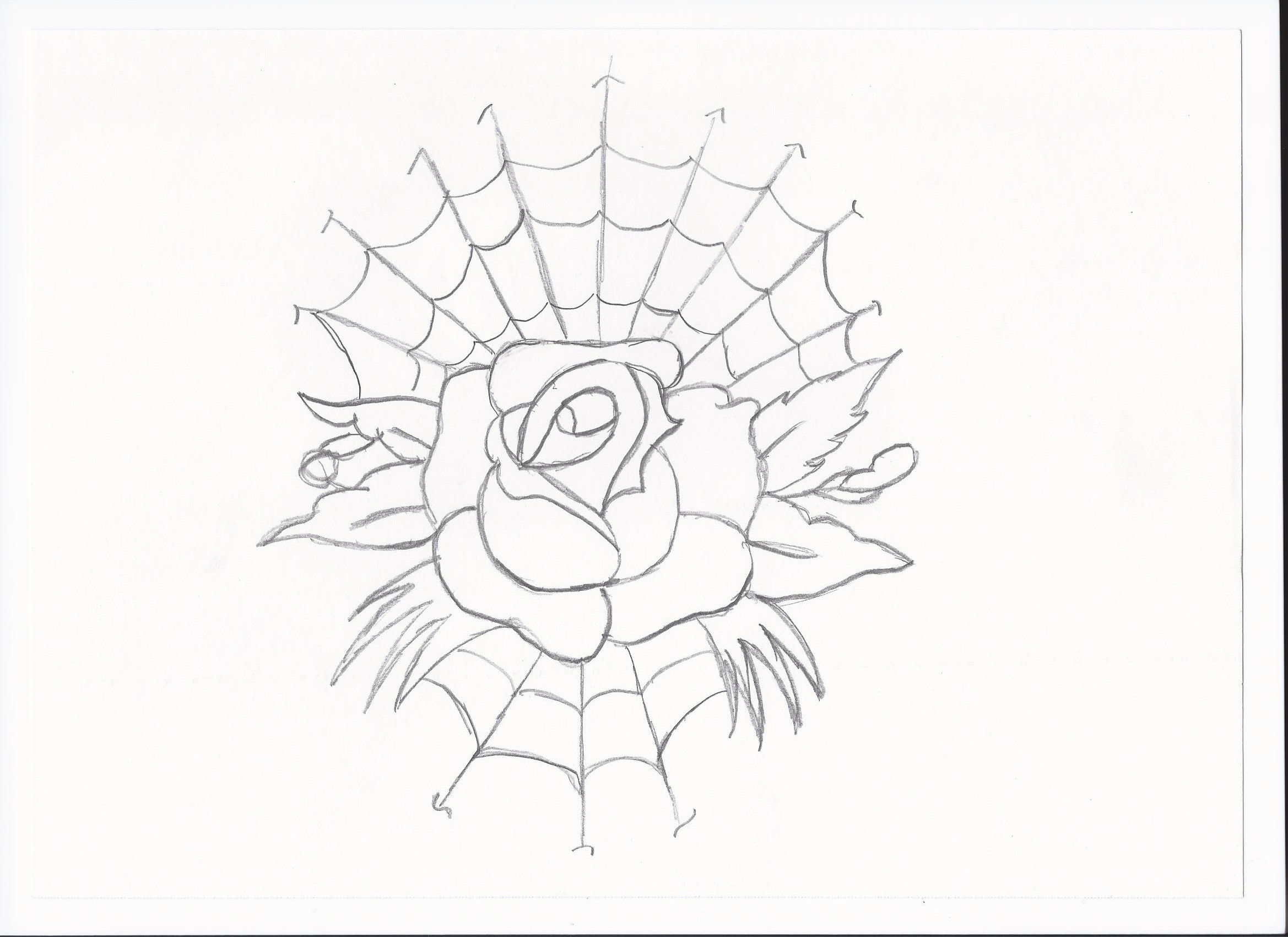 2338x1700 Spider Web Drawings Free Printable Spider Web Coloring Pages