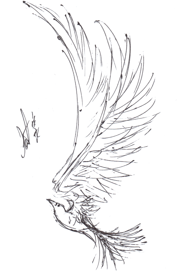 623x945 White Crow Finds Freedom In The Sky By Katfeatherfoot