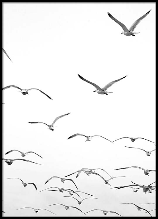 540x750 Freedom Poster Drawings Nordic Interior, Buy